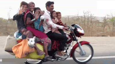 是谁干的？出来！我保证不打死你！