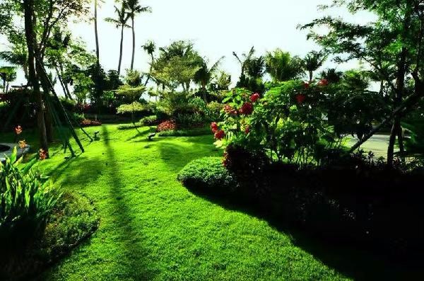 那些壮美的日出日落瞬间，亮瞎你的眼