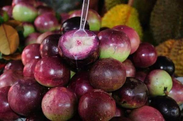 这些水果吃过5种以上，算是土豪了