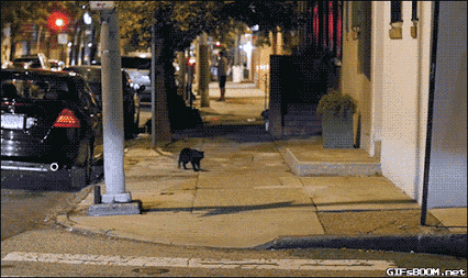 一张图告诉你，什么是好吃到飞起来