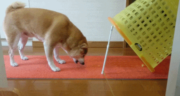 高手之间的对决 看谁的嘴硬