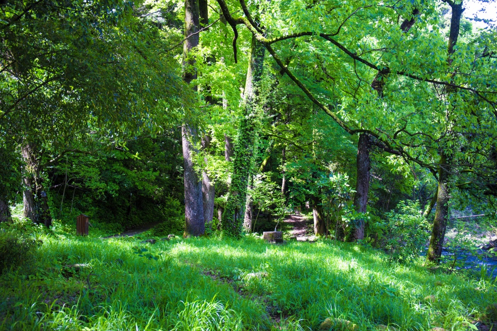 成龙为什么要捐赠古建筑，去了严家古村就明白了