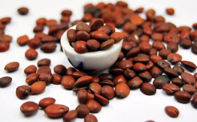 5种常见食物，每一样都能让你轻松入眠