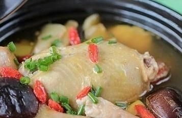 鸽子的营养价值