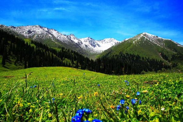 5月，这里是你最不应该错过的地方