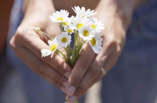最养女人的7种食物 女人养生都靠它们