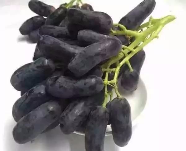 这些水果吃过5种以上，算是土豪了