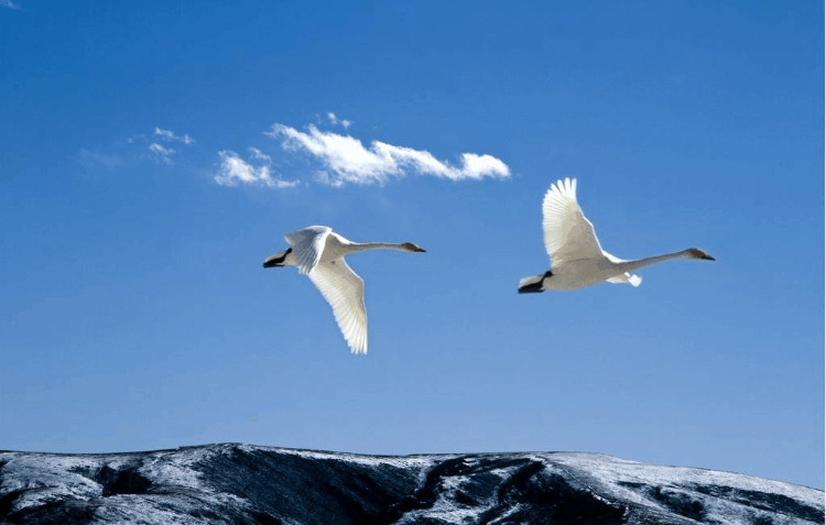 距离你想成为的自己，其实只差一步