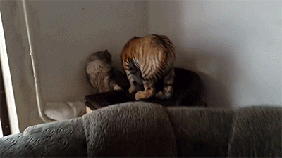 想起夕阳下那奔跑 那是我逝去的青春