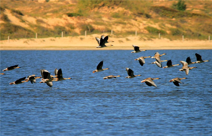 王昭君，在巴彦淖尔弹唱平沙落雁曲