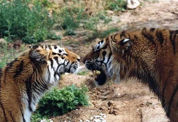 西安这五个景区半价优惠，周末去嗨皮吧！