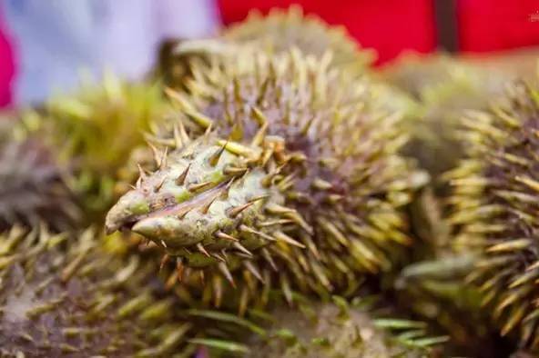 这种米却被称为女人的“不老米”，男人的“长寿米”！