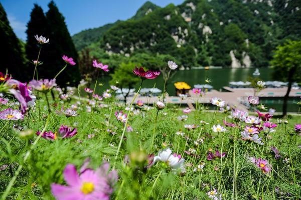 西安这五个景区半价优惠，周末去嗨皮吧！