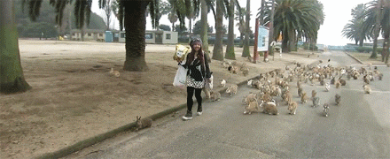 初生牛犊不怕虎，因为他的后台很硬