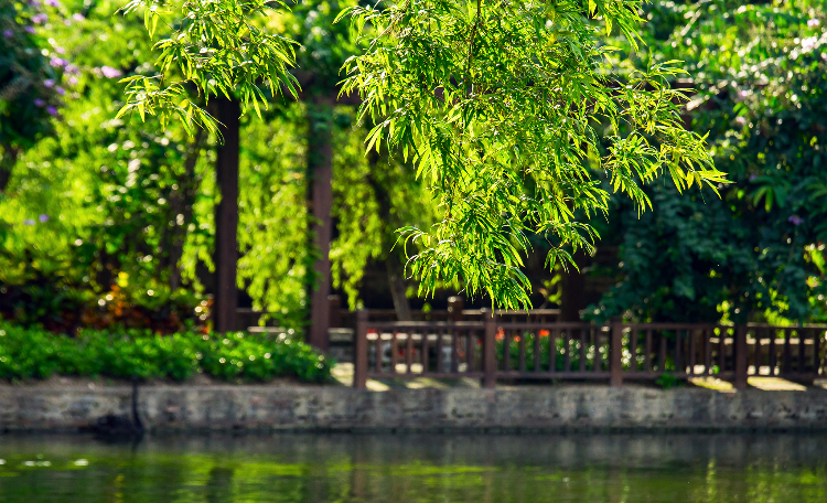 东莞可园，可不可以媲美天上仙宫