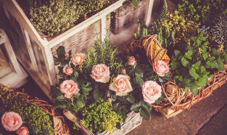 十句最新精选哲理句子，言少祸少