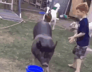 惊不惊喜？刺不刺激？哈哈哈让我措不及防的笑。