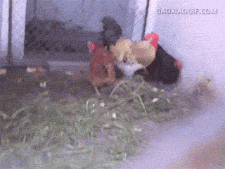 高手之间的对决 看谁的嘴硬