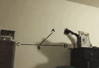 汪：就算你得到我的身体也得不到我的心