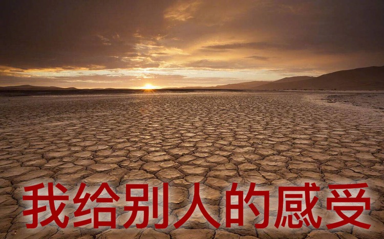 社交真的太难了！！