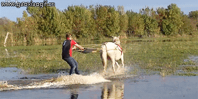 一切都是设计好的