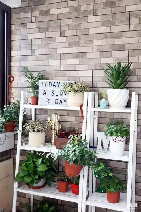 总觉得别人家的阳台美，今天就告诉你到底美在哪里