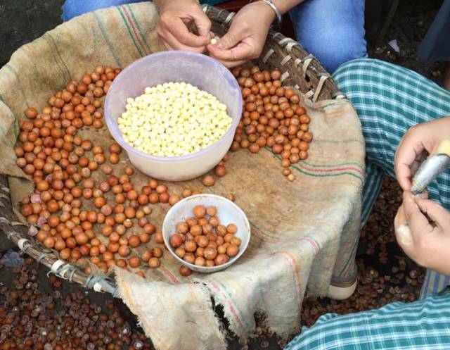 这种米却被称为女人的“不老米”，男人的“长寿米”！