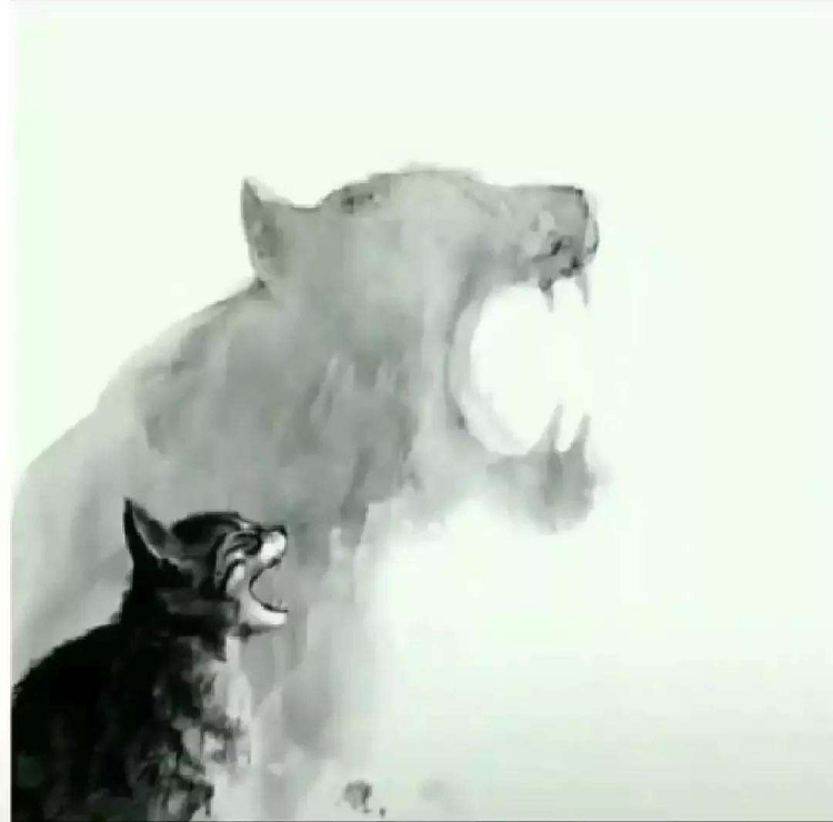 凭本事强大的三大星座,能力越大,越会受到重用 凭本事强大的三大星座,能力越大,越会受到重用