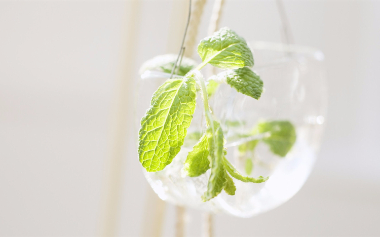 天地虽大心却小，岁月无情人易老