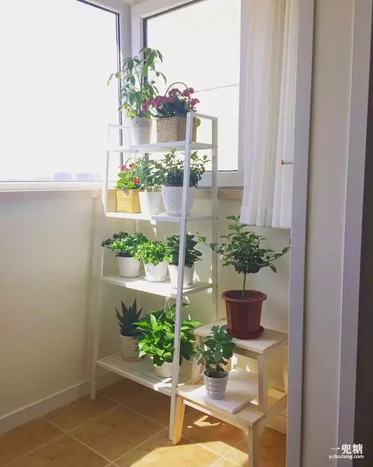 总觉得别人家的阳台美，今天就告诉你到底美在哪里