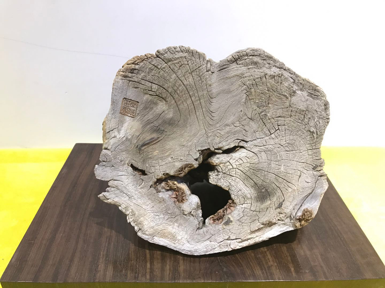 山西赛宝会 I 精品抢先看