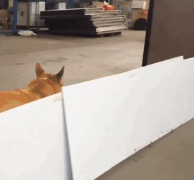 别看我小就可以欺负我 看掌...