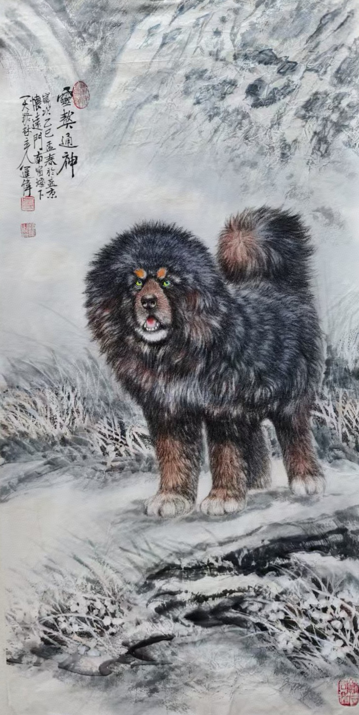 不惑人生 与狼共舞