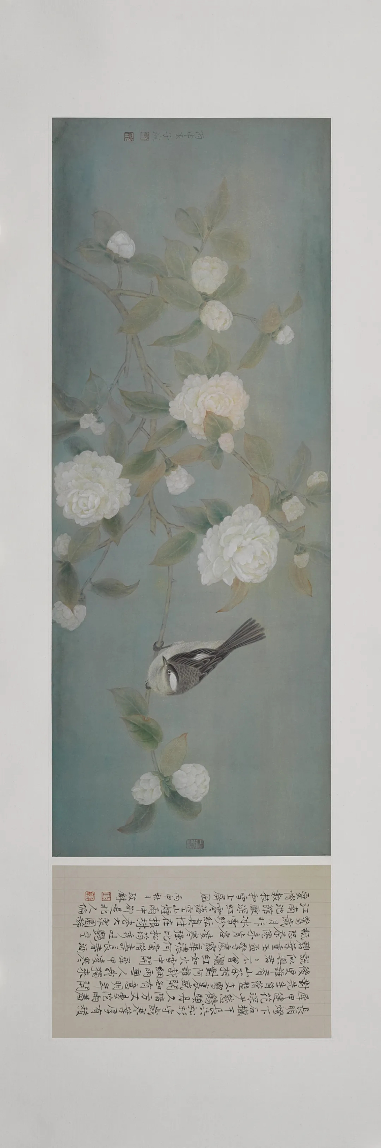 子琬：时间的花