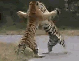 能活到现在确实不容易