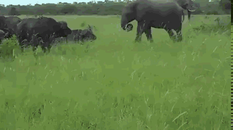 汪：就算你得到我的身体也得不到我的心