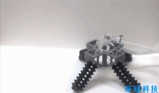 世界首个软体机器人面世！可驾驭复杂地形 体态萌翻