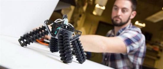 世界首个软体机器人面世！可驾驭复杂地形 体态萌翻