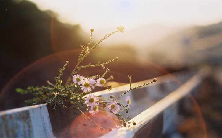 执一颗平常心，过平淡的日子