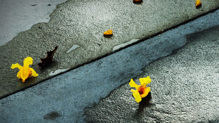 九句很现实的句子，句句写进心坎