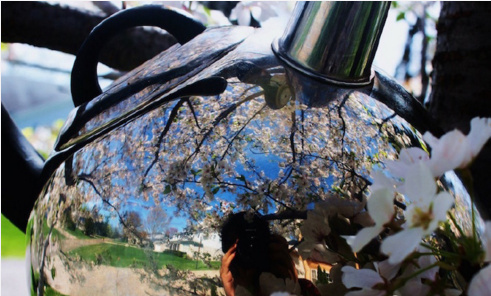 一位带着茶壶去旅行的妹子