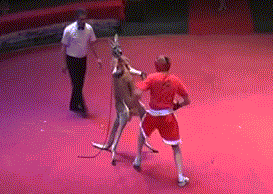 你吓到主子了，后果不堪设想