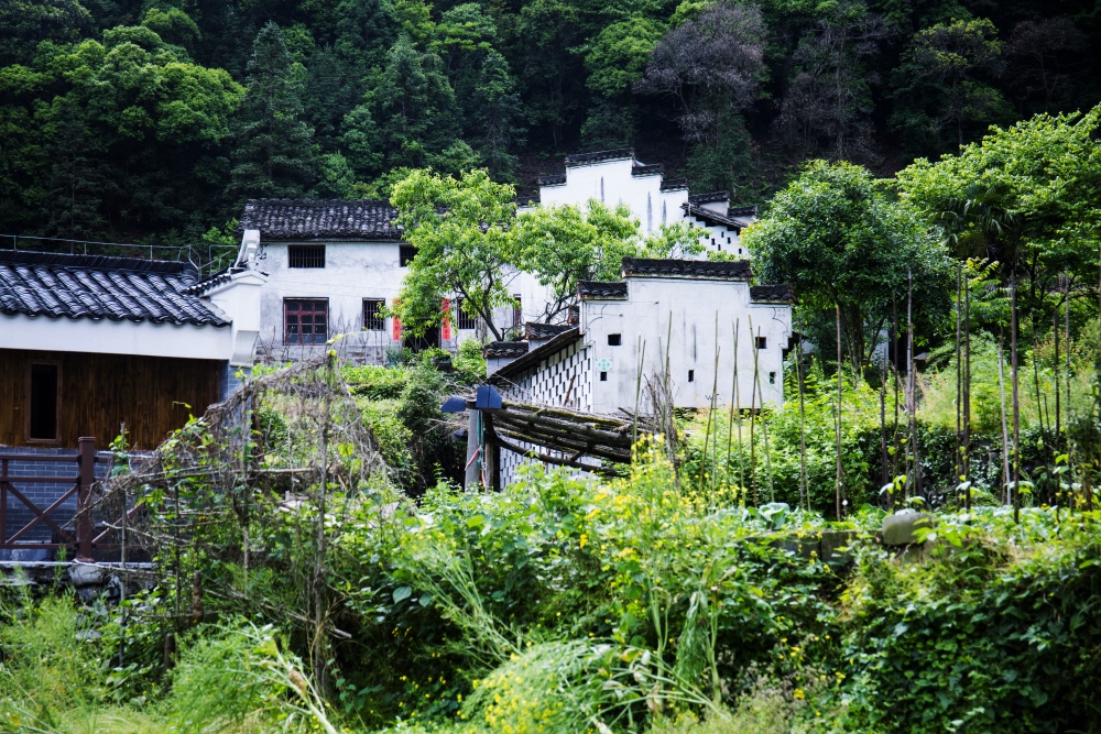 成龙为什么要捐赠古建筑，去了严家古村就明白了
