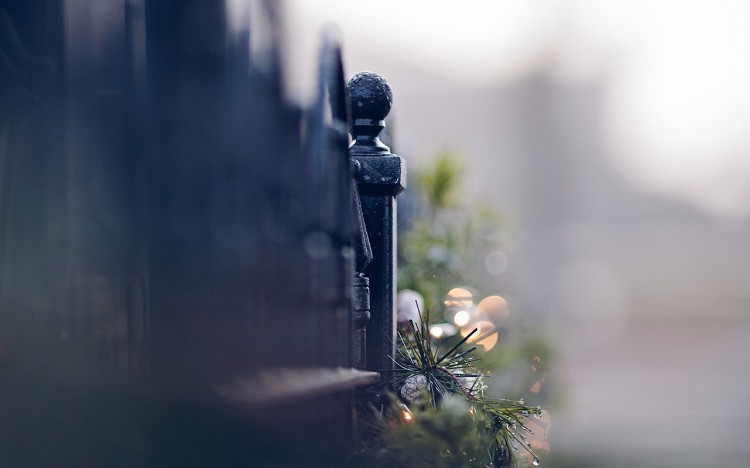 执一颗平常心，过平淡的日子