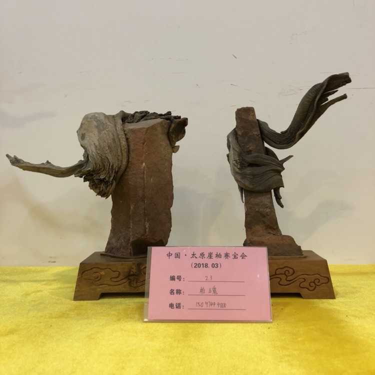 山西赛宝会 I 精品抢先看