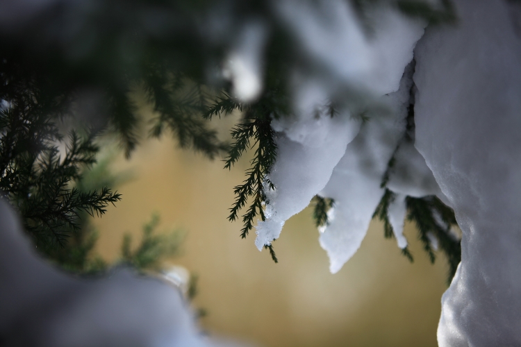 距离你想成为的自己，其实只差一步
