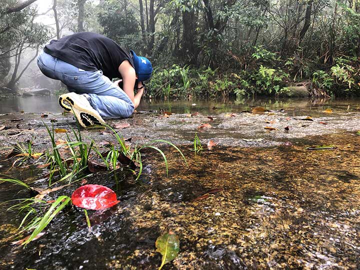 【旅行】2018惠州-罗浮山穿越
