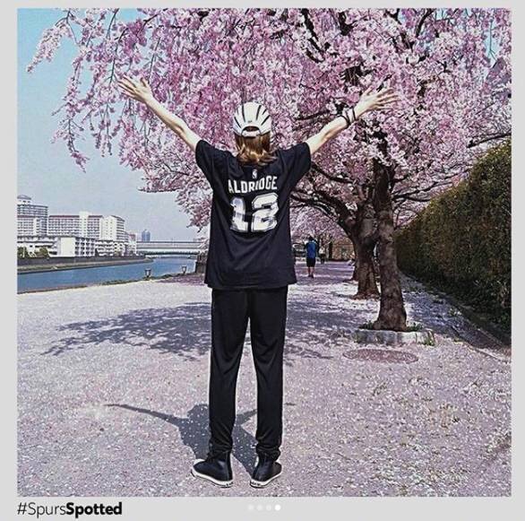 世界对马刺的爱