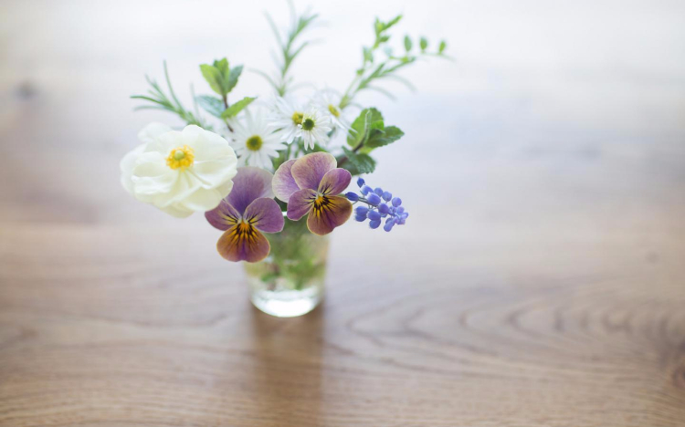 天地虽大心却小，岁月无情人易老