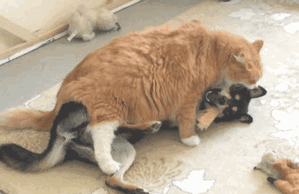 汪：就算你得到我的身体也得不到我的心